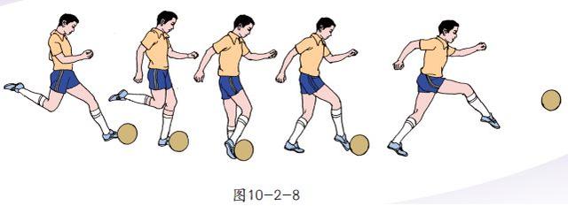 直观简述六种踢足球技术动作方法，马上成为球场高手，简单易学(足球招式)