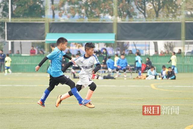 像战狼一样战斗！这所小学夺得武汉市校园足球联赛冠军(小学足球联赛)