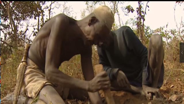 非洲部落狩猎巨蟒的真实场景，巨蟒头被锤烂都还死缠不放！纪录片(人录像视频)